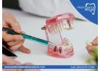 Smile Brighter with Professional Dental Restoration Services
