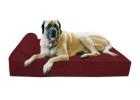 Premium Dog Beds for Large Breeds – Comfort & Durability in Virginia