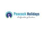 Explore Kashmir with Our Package - Peacock Holidays