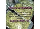 Weed plugs in mackay (Telegram_budman9)