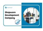Shopware Development Company
