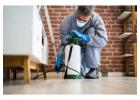 Reliable Pest Control in South Yarra: True Pest Control