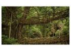 Discover Magical Meghalaya