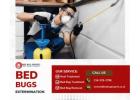 Mattress-Specific Bed Bug Extermination: Targeted Solutions for a Restful Night
