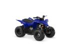 Choose The kids Buggies and Quads