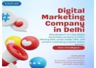 Drive Real Growth with the Best SEO Company in Delhi – Brandhype.in