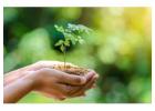 Get In Touch with Experienced ISO 14001 Certification Consultants