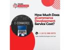 How Much Does eCommerce Development Service Cost? 