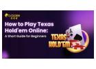 How to Play Texas Hold’em Online Game