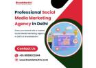 Professional Social Media Marketing Agency in Delhi