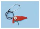Top Liver Transplant Surgeon in Kerala