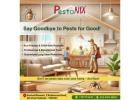 Best Pest Control Company In Kolkata| Pestonix