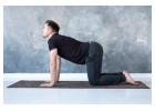Empower Your Wellness Journey with the Hefft Online Coaching