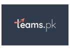 Remote Development Teams & Expert Resources