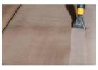 Professional Couch Cleaning Services in Bardon: Fresh and Clean Sofas