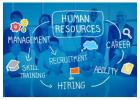 Simplify HR Tasks with the Best HR Management System in India