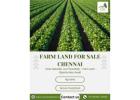 Farm Land for Sale Chennai - River Properties