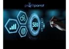 Choose The Best Services of SEO in Windsor