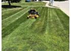 Affordable Local Lawn Mowing Services Near You -  Martens Lawn Care