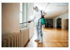Reliable Pest Control Services in Point Cook: True Pest Control
