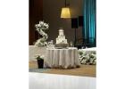 Birthday Party Decor Specialists Raleigh – Striking Trend