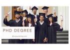 PhD Degree: The Pinnacle of Academic Excellence