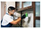 Professional Pest Control Services in Camberwell: True Pest Control