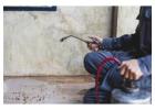 Reliable Pest Control Services in Werribee: True Pest Control