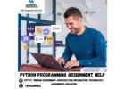 Python Programming Assignment Help Get Accurate & Timely Solutions!