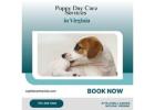 Puppy Day Care Services in Virginia | Capitol Canine Club