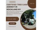 Certified Tree Care Agency in Rockland NY | D&D Tree Services