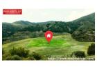 Explore Prime Vacant Lots for Sale in Florida 
