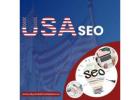Expert Delaware SEO and USA SEO Services by Skyrocket Marketers