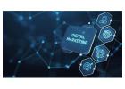 Web Development Services in Mohali - The Code Technologies