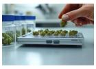 Virginia Cannabis Dispensary