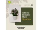Artificial Succulent Plants – Only at Blooming Floret