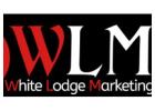 WLM SEO Ireland 