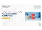 USAID Audit in Delhi India