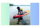 Top-Quality Life Jackets for Dogs at NeoPaws!
