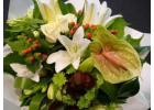 Top Christchurch Florist for Fresh & Stunning Bouquets