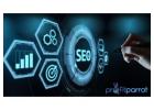 Choose The Popular Pest Control SEO Company in 