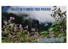 Valley of Flowers Trek – A Himalayan Paradise Awaits