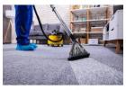 Expert Carpet Cleaning Services in Richmond