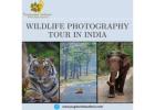 Best Wildlife Photography Tour in India with Pugdundee Safaris