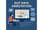 NLP Data Annotation Services