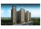 Buy Row Houses at Shriram Yelahanka – Great Location