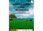 Agricultural Land in Chennai - River Properties