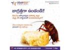 Best Ant Pest Control Services in Kurnool