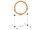 Shop Dog Agility Equipment for Training & Fun  - K9 Escapade
