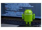 Professional Web & Mobile App Development Company